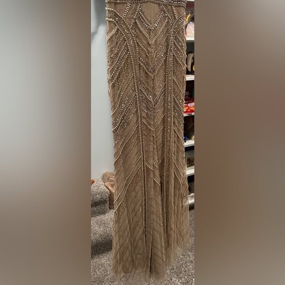 Women’s Beige Theia Embellished Tulle Column Evening Gown - Picture 16 of 16